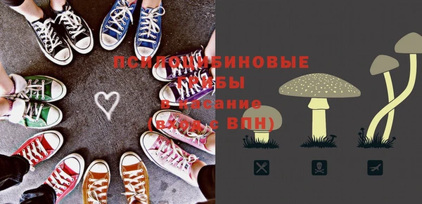 спиды Алексеевка