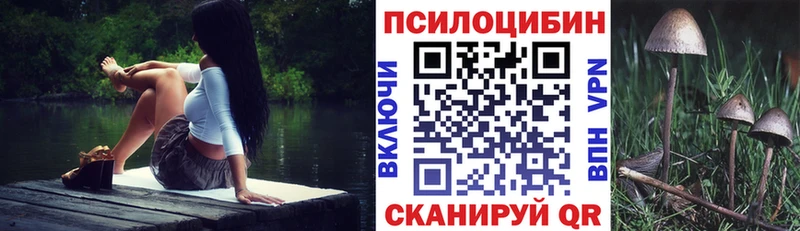 купить наркотик Нытва Псилоцибиновые грибы Cubensis